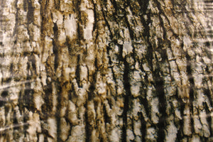 Tree Bark - 100cm