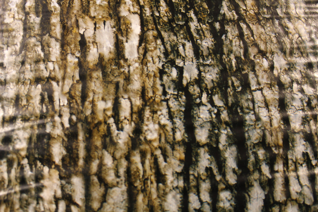 Tree Bark - 100cm