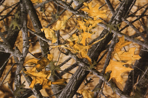 Fall Orange Leaves - 100cm