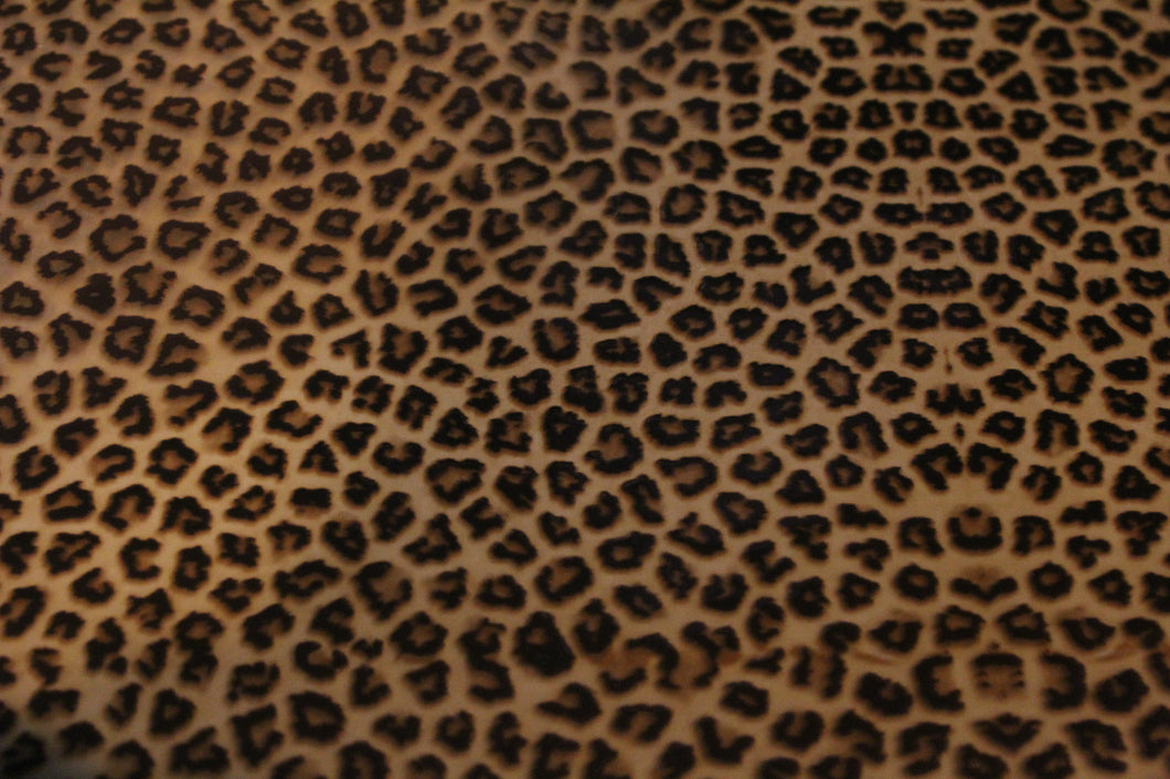 Cheetah - Reduced -100cm