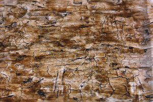 Distressed Wood - 100 cm